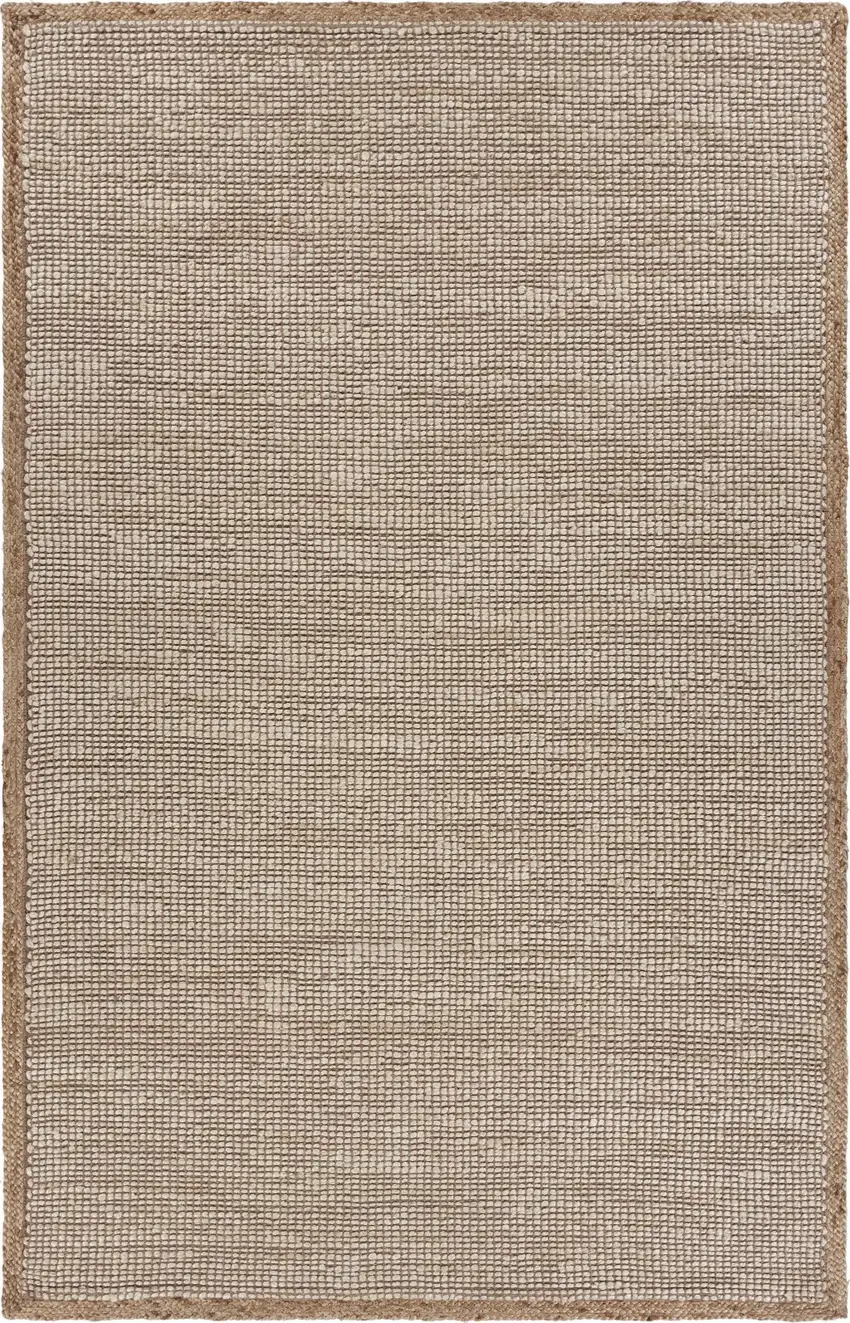 Tan and White Braid Border Area Rug Photo 1