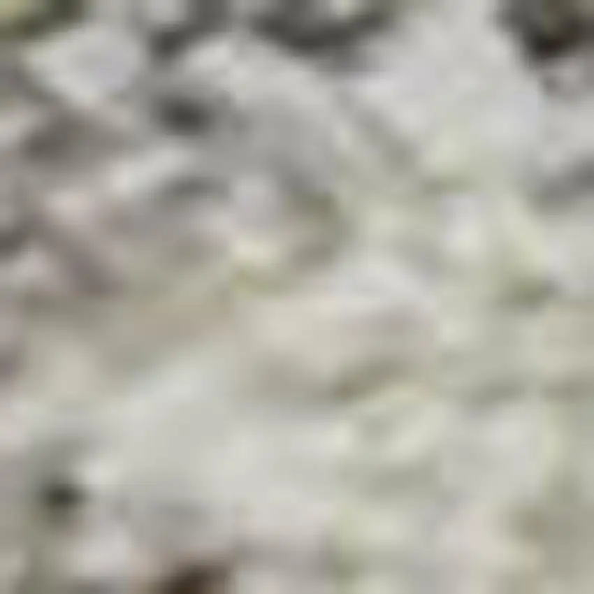 Taupe And Beige Abstract Washable Area Rug With UV Protection Photo 2