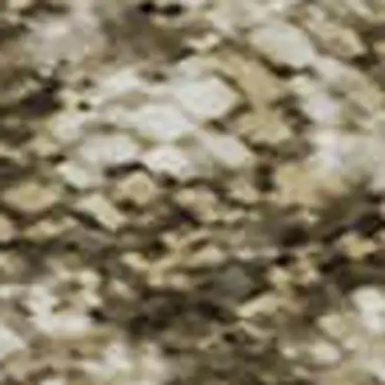 Taupe And Beige Abstract Washable Area Rug With UV Protection Photo 1