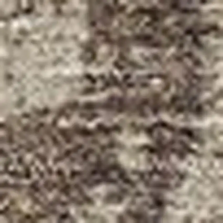 Taupe And Beige Abstract Washable Indoor Outdoor Area Rug Photo 3