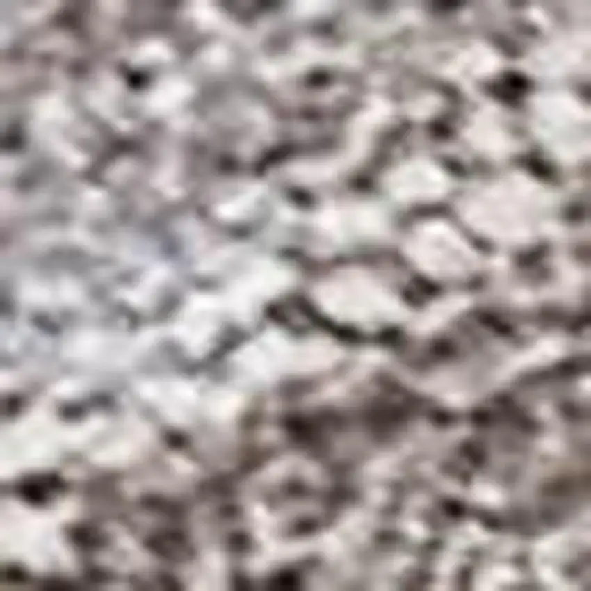 Taupe And Beige Abstract Washable Indoor Outdoor Area Rug Photo 2