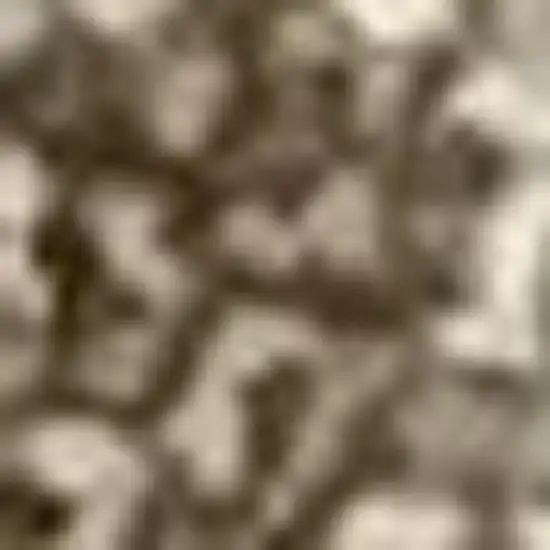 Taupe And Beige Checkered Washable Area Rug With UV Protection Photo 3