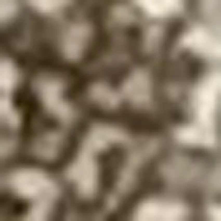 Taupe And Beige Checkered Washable Area Rug With UV Protection Photo 3