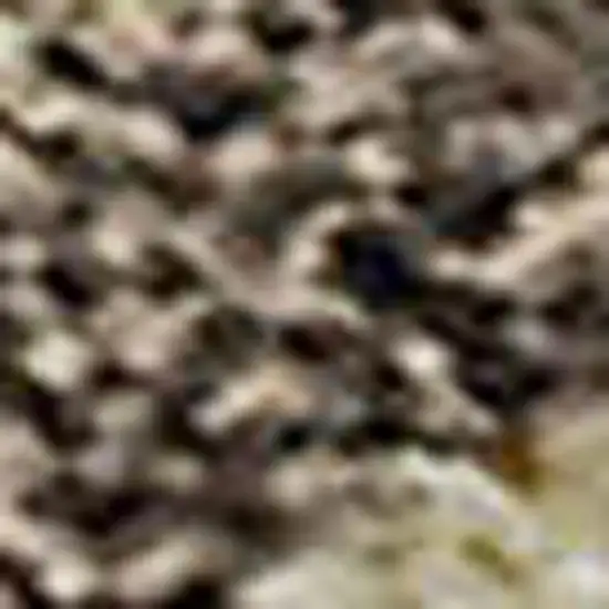 Taupe And Beige Striped Washable Area Rug With UV Protection Photo 3