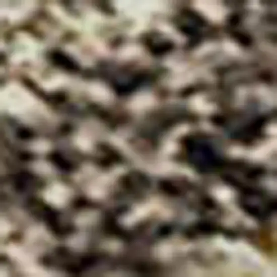 Taupe And Beige Striped Washable Area Rug With UV Protection Photo 3