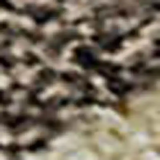 Taupe And Beige Striped Washable Area Rug With UV Protection Photo 3