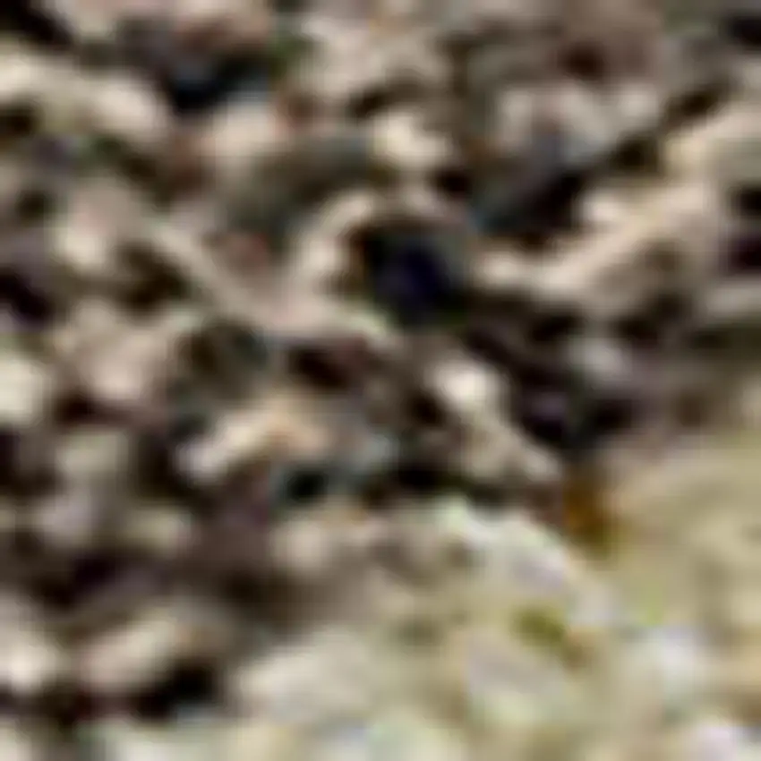 Taupe And Beige Striped Washable Area Rug With UV Protection Photo 3