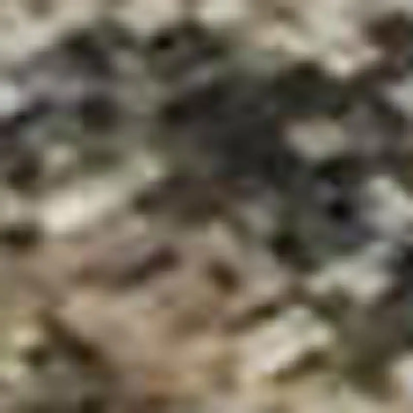 Taupe And Blue Floral Washable Area Rug With UV Protection Photo 2