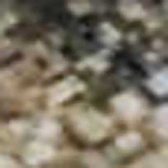 Taupe And Blue Floral Washable Area Rug With UV Protection Photo 2