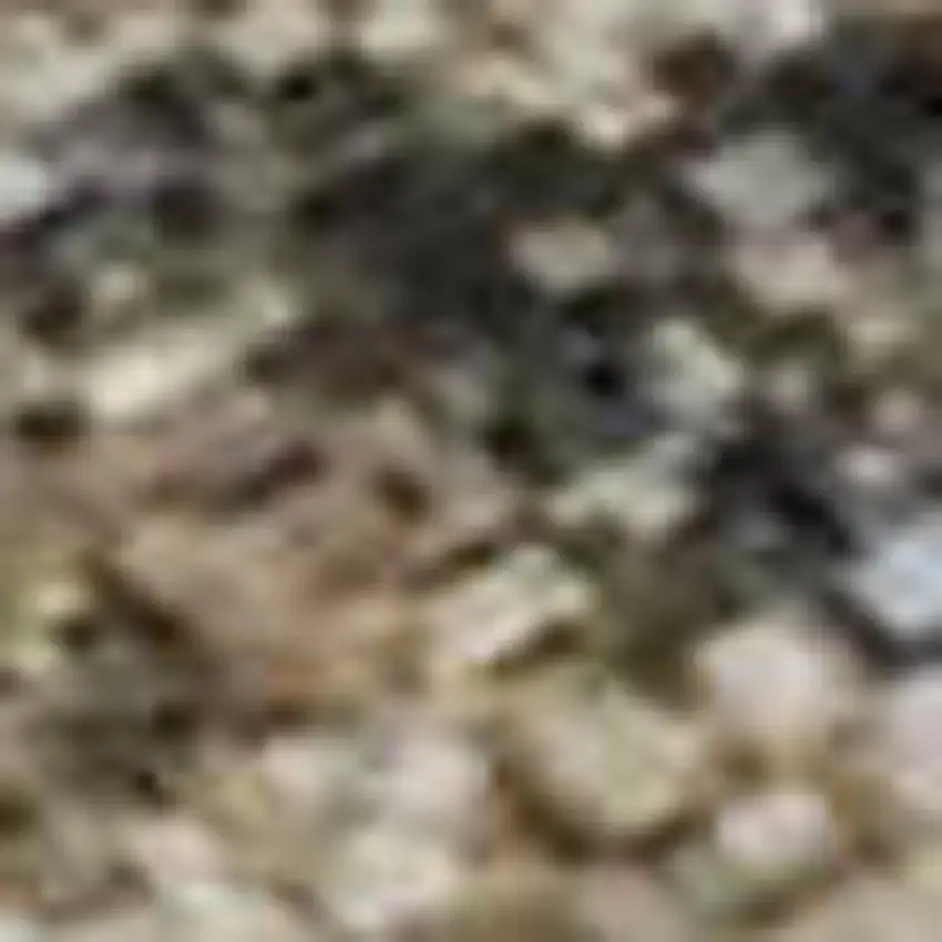 Taupe And Blue Floral Washable Area Rug With UV Protection Photo 3