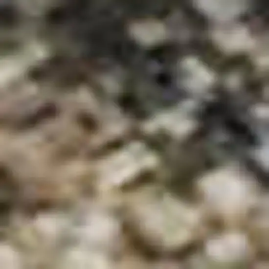 Taupe And Blue Floral Washable Area Rug With UV Protection Photo 2