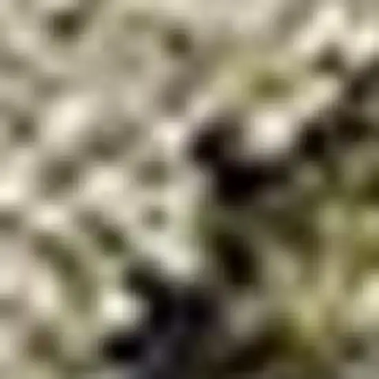 Taupe And Brown Abstract Washable Area Rug With UV Protection Photo 4