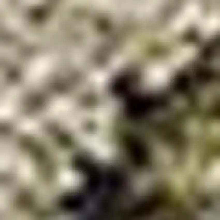 Taupe And Brown Abstract Washable Area Rug With UV Protection Photo 4