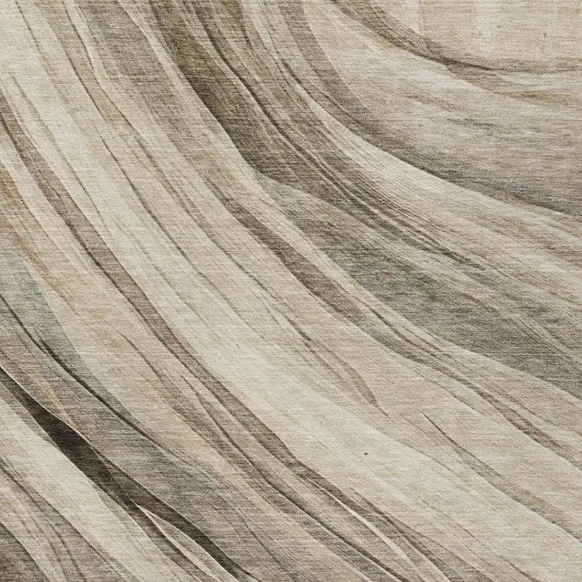 Taupe And Brown Abstract Washable Indoor Outdoor Area Rug Photo 4