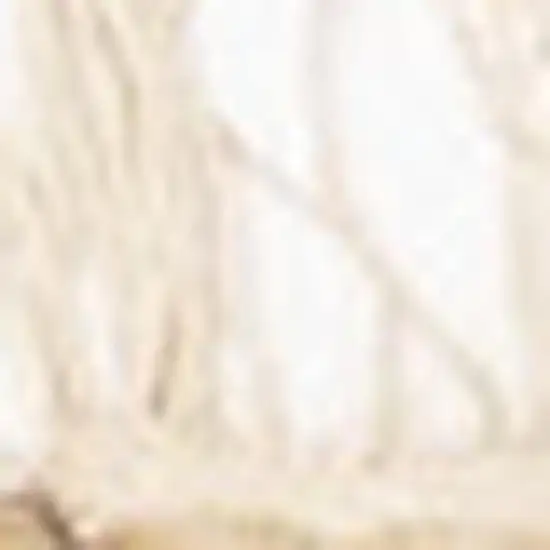 Taupe And Brown Jute Abstract Hand Woven Area Rug Photo 4