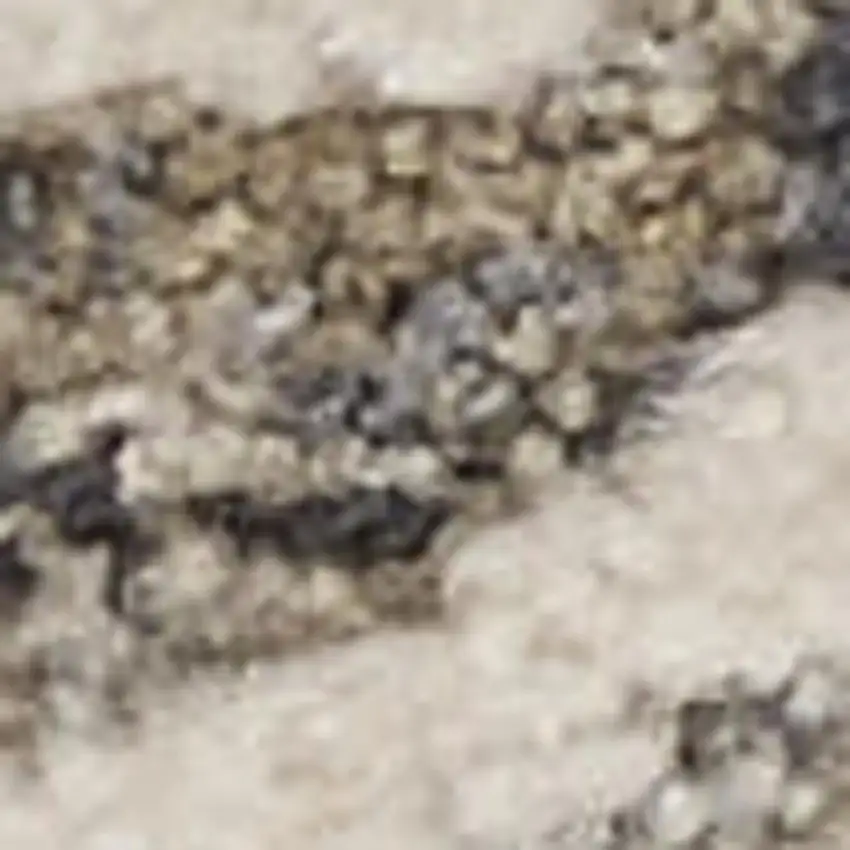 Taupe And Ivory Floral Medallion Area Rug Photo 2