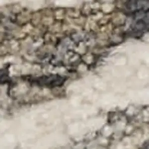 Photo of Taupe And Ivory Medallion Area Rug