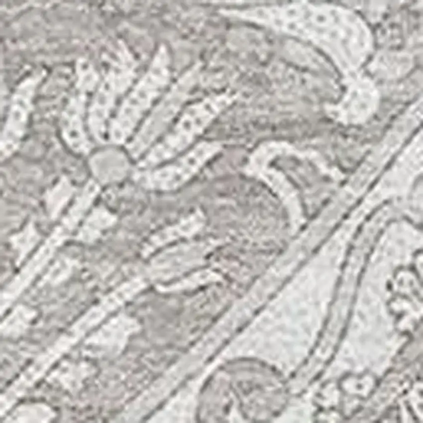 Taupe And Ivory Paisley Washable Area Rug With UV Protection Photo 5