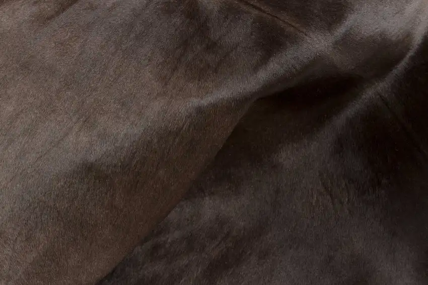 Taupe And White Calfskin - Area Rug Photo 2