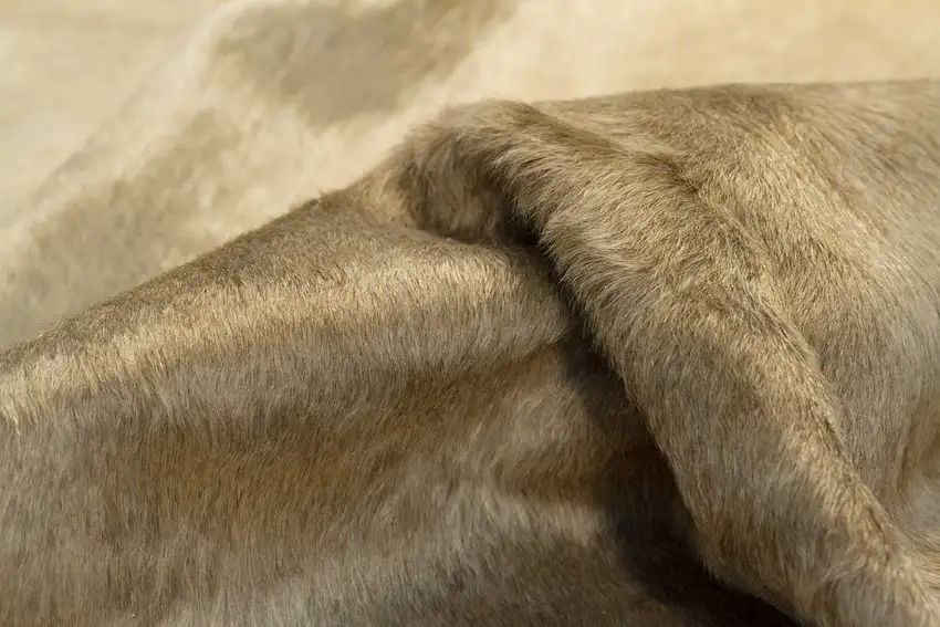 Taupe Cowhide Cowhide Print Area Rug Photo 7