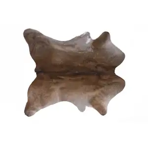 Photo of Taupe Genuine Cowhide Hand Knotted Area Rug