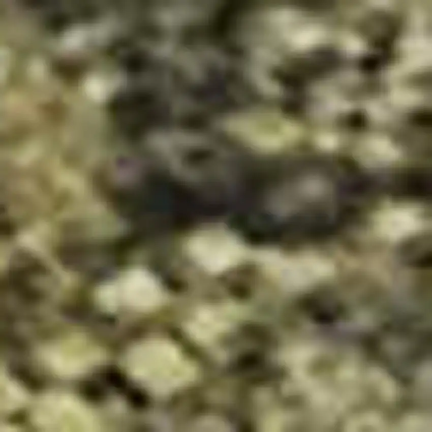 Taupe Gold And Ivory Abstract Washable Area Rug With UV Protection Photo 2