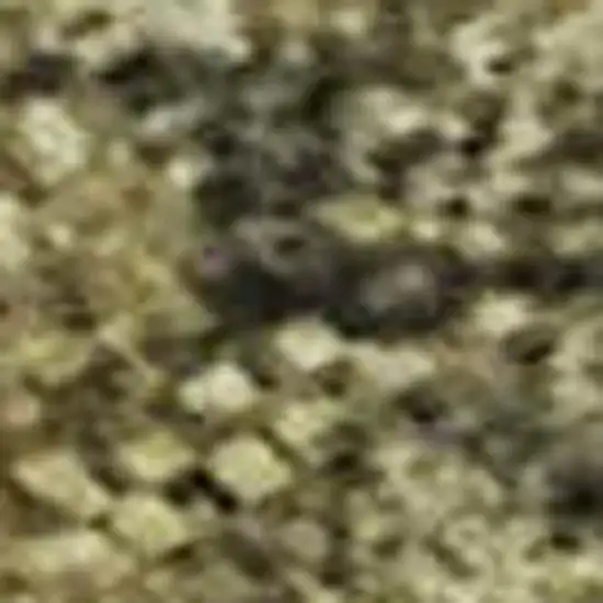 Taupe Gold And Ivory Abstract Washable Area Rug With UV Protection Photo 3