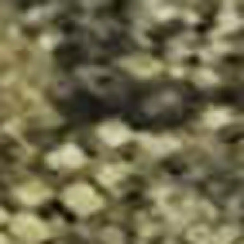 Taupe Gold And Ivory Abstract Washable Area Rug With UV Protection Photo 2