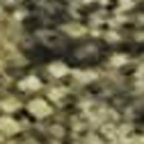 Taupe Gold And Ivory Abstract Washable Area Rug With UV Protection Photo 2