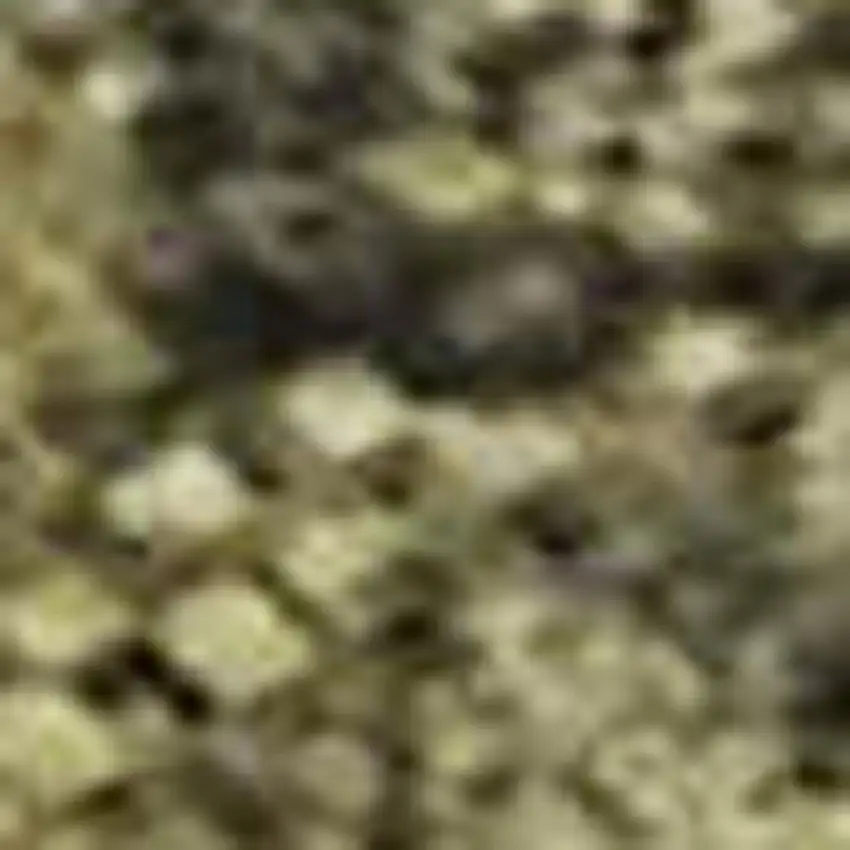 Taupe Gold And Ivory Abstract Washable Area Rug With UV Protection Photo 2