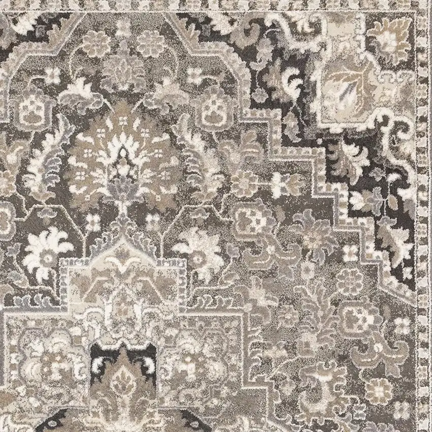 Taupe Gray And Brown Medallion Area Rug Photo 5