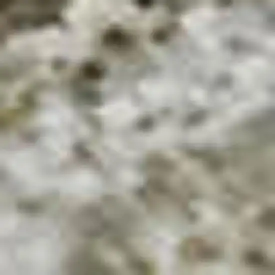 Taupe Gray And Ivory Abstract Washable Area Rug With UV Protection Photo 2