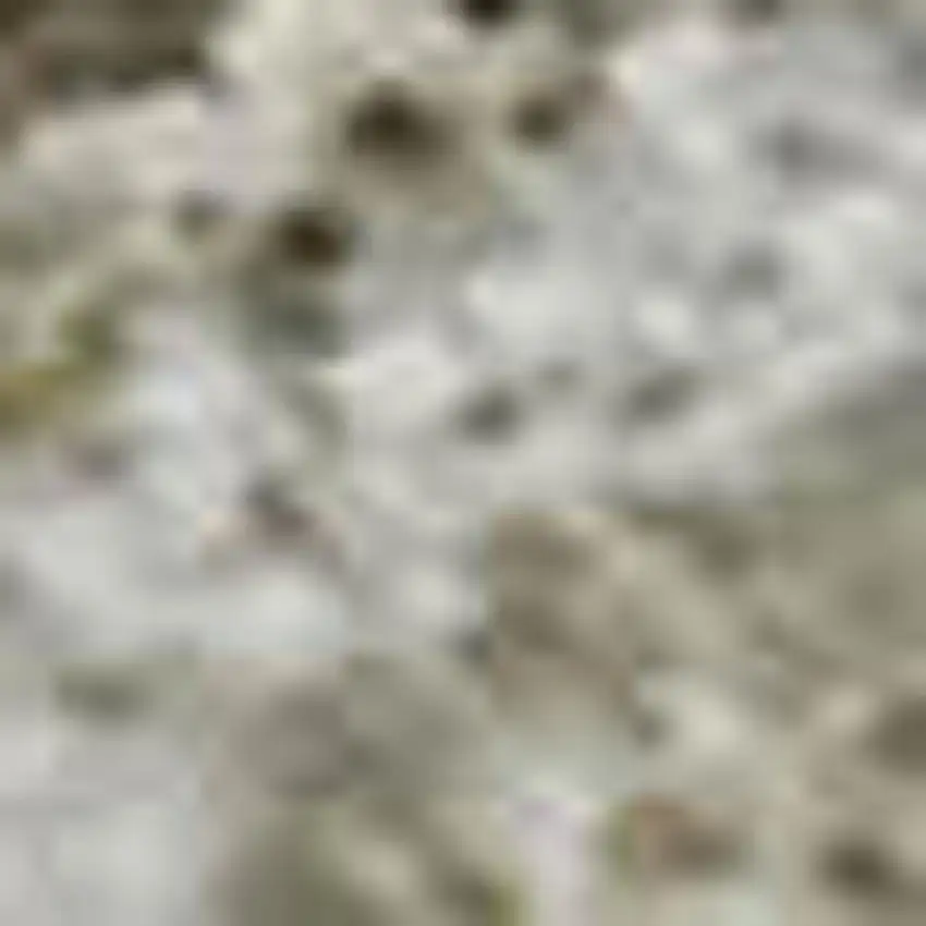 Taupe Gray And Ivory Abstract Washable Area Rug With UV Protection Photo 2