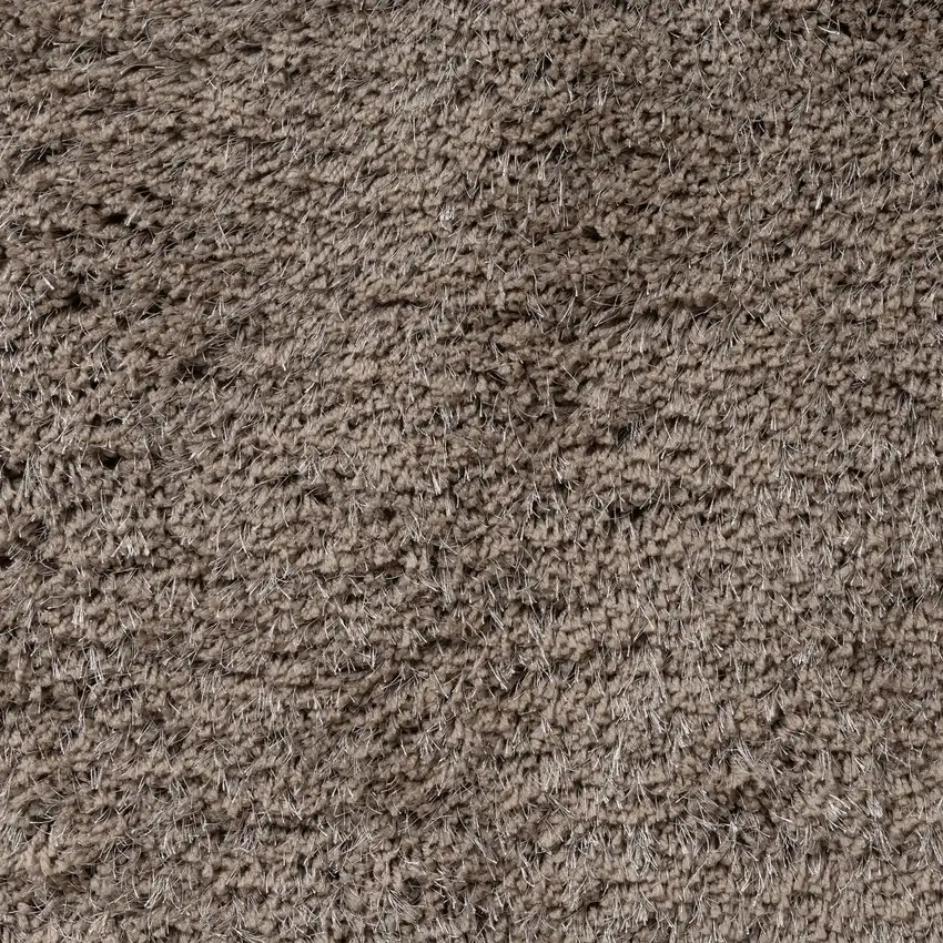 Taupe Hand Loomed Area Rug Photo 9