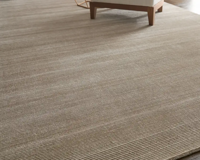 Taupe Hand Woven Area Rug Photo 4