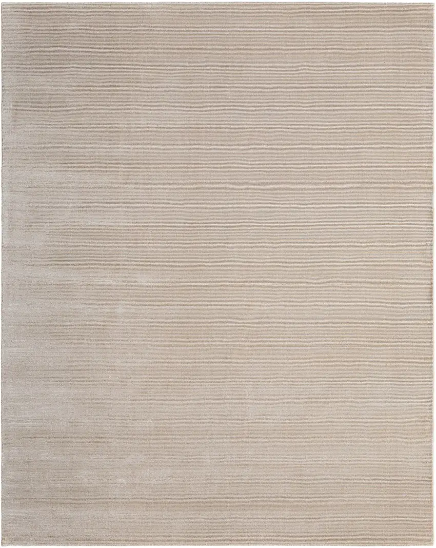 Taupe Hand Woven Area Rug Photo 3