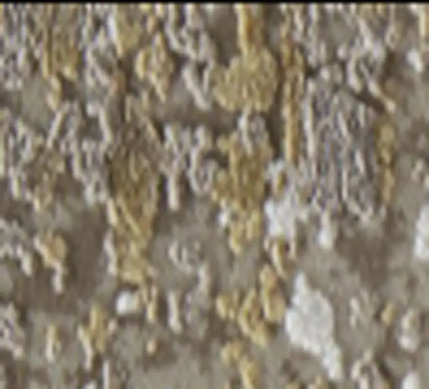 Gold and Ivory Abstract Area Rug With Fringe Photo 5