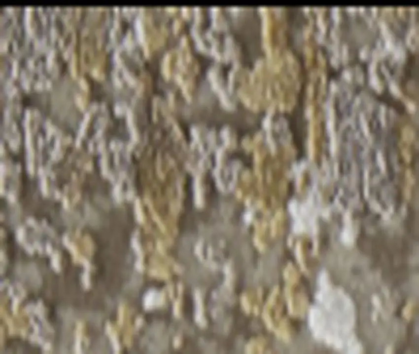 Gold and Ivory Abstract Area Rug With Fringe Photo 3