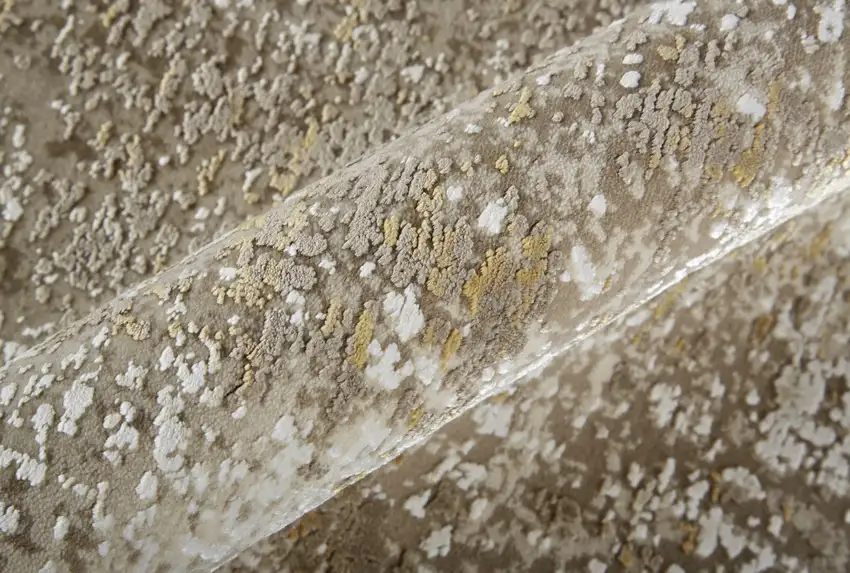 Gold and Ivory Abstract Power Loom Distressed Area Rug With Fringe Photo 9