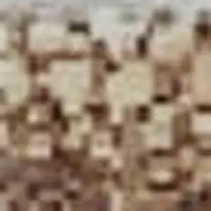 Photo of Taupe Ivory And Rust Geometric Washable Area Rug With UV Protection