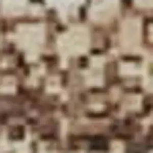 Photo of Taupe Ivory And Rust Geometric Washable Area Rug With UV Protection