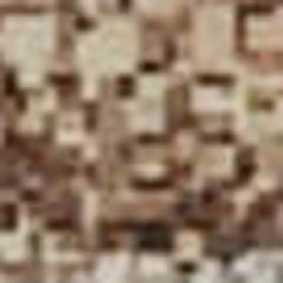 Taupe Ivory And Rust Geometric Washable Area Rug With UV Protection Photo 1