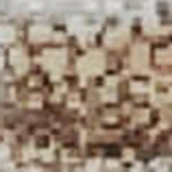 Taupe Ivory And Rust Geometric Washable Area Rug With UV Protection Photo 3