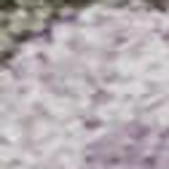 Taupe Lavender And Ivory Abstract Washable Area Rug With UV Protection Photo 2