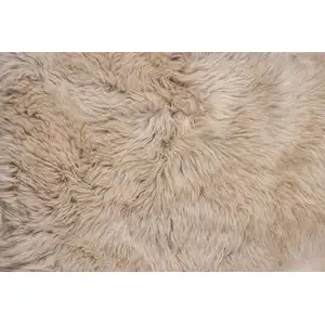 Photo of Taupe Natural Rectangular Sheepskin Area Rug