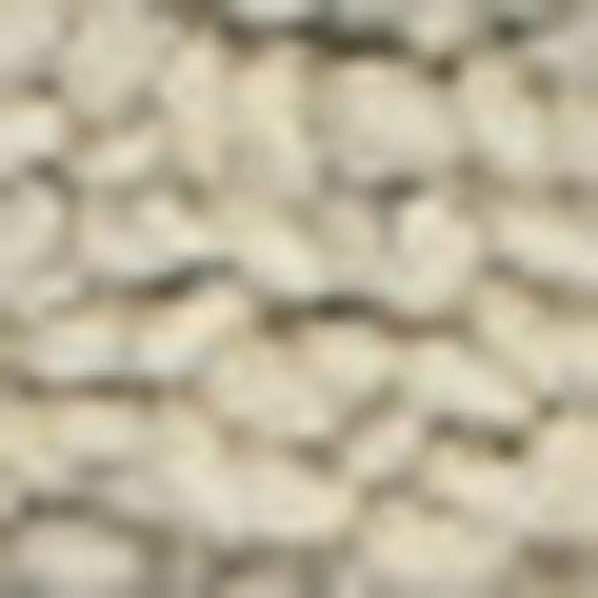Taupe Wool Area Rug Photo 3
