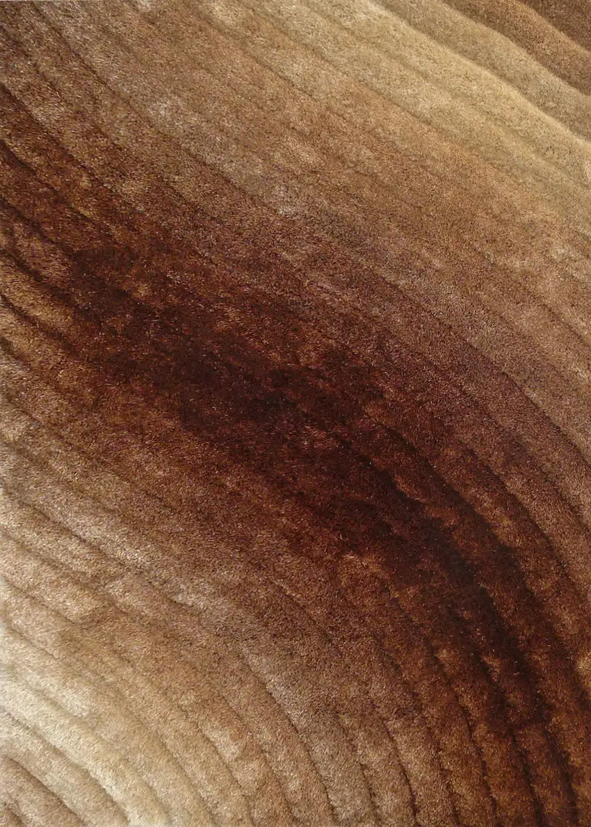 Taupe and Brown Shag Hand Tufted Area Rug Photo 6
