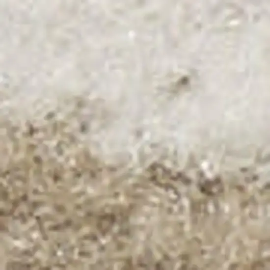 Taupe and Ivory Floral Area Rug Photo 4