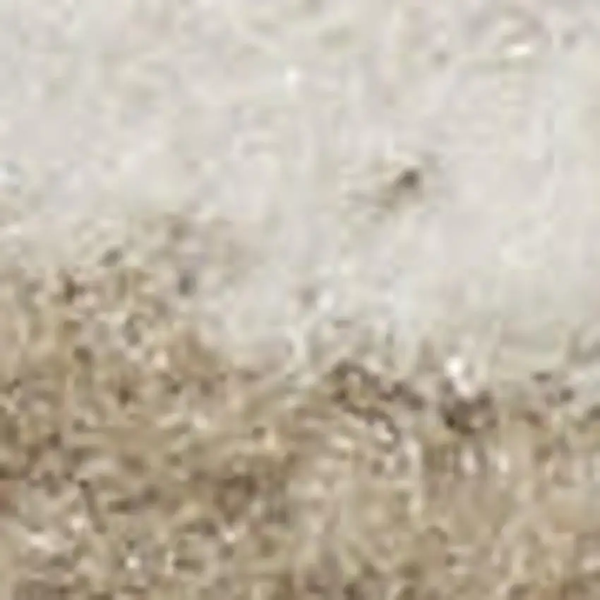 Taupe and Ivory Floral Area Rug Photo 4