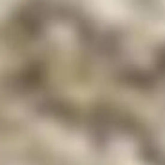 Taupe and Ivory Floral Non Skid Area Rug Photo 5